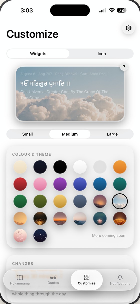 The Customize screen showing a Home Screen widget preview, small, medium and large sizes, and a grid of colours and photographic themes.